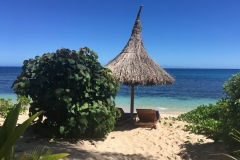 unsere ganz persönlichen Liegen