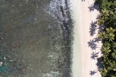 Korallen, Sand, Palmen