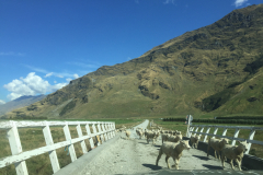 Gegenverkehr auf der einspurigen Brücke