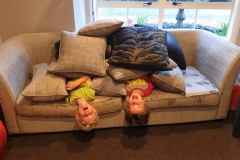 Two Monkeys on the Sofa