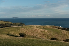 Ausblick auf Rangitoto Island und Auckland