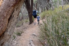 Fluted Cape Walk, mal mit Mama