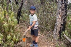 Fluted Cape Walk - die Wegweiser 