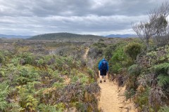 Cape Queen Elizabeth Track