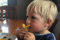 Kann man Blumen essen?