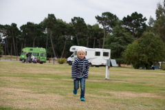 Die tägliche Ration Auslauf