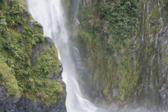 Wasserfall am Milford Sound
