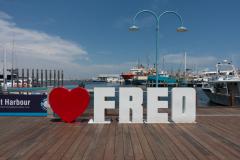 Yes, we love Freo