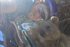 Quokka Selfie