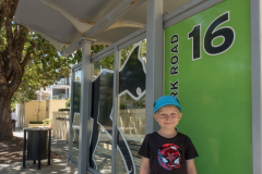 Mit dem Katzenbus unterwegs