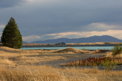 Lake Pukaki Abendstimmung