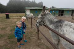 Was, die zwei wollen auf mir reiten?