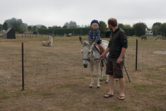 Eselreiten in Geraldine
