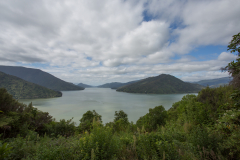 Pelorus Sound