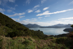 Pelorus Sound