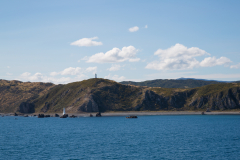 Pencarrow Head