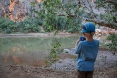 Crocodile Hunter (aber nur mit der Kamera)