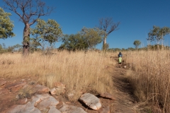 Manning Gorge Wanderweg - immer in der prallen Sonne