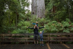 Tane Mahuta - so gross