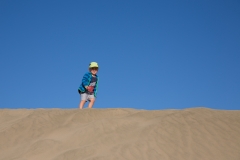 Dünen am Ninety Mile Beach