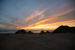 500 Bilder später ist sie dann verschwunden