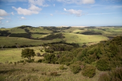Auf dem Weg zum Cape Reinga
