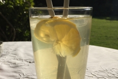 Rainbow Falls Tearoom - homemade lemonade