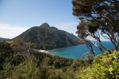 Smugglers Bay - Whangarei Heads