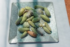 Im-roten-Herz-Australiens-107