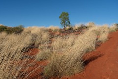 Im-roten-Herz-Australiens-115