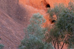 Im-roten-Herz-Australiens-116