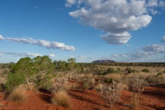 Im-roten-Herz-Australiens-143