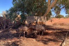 Im-roten-Herz-Australiens-147