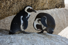 War da nicht mal was?