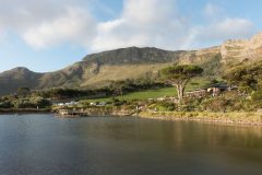 Cape Point Vineyards Community Market