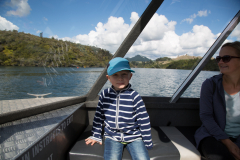 Orakei Korako - Auf der Fähre