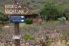 20190102-PatBusch-5D3_1561