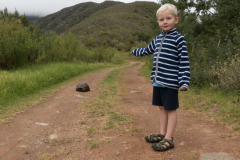 Das erste Tier in freier Wildbahn