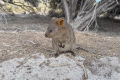 Perth-und-Fremantle-031