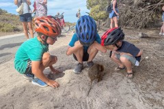 Perth-und-Fremantle-032