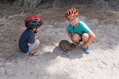 Perth-und-Fremantle-033