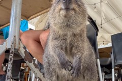 Perth-und-Fremantle-040