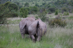 In trauter Zweisamkeit
