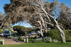 Yallingup, manchmal wohl etwas windig hier