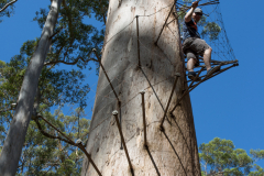 Noch voller Elan beim Aufstiegt