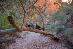 Mini Palms Gorge  - grosses Äffchen ist müde