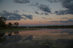 Sonnenuntergang am Lake Kununurra