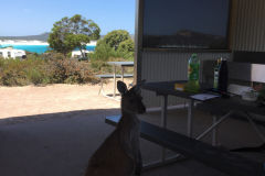 Gibt's hier etwas zu Essen?