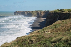 Patea Beach