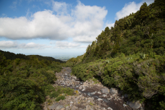 Weg zu den Wilkies Pools